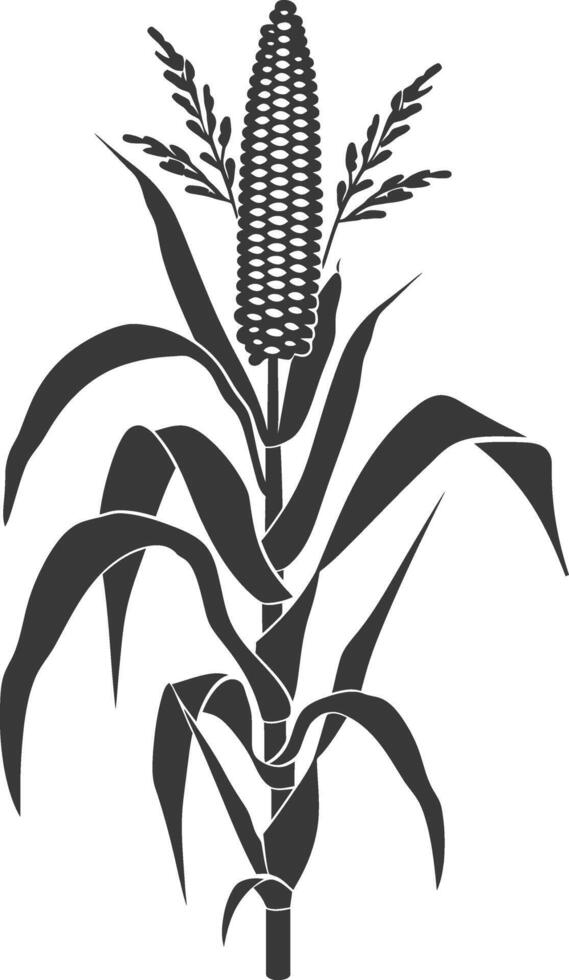 Silhouette corn black color only full vector