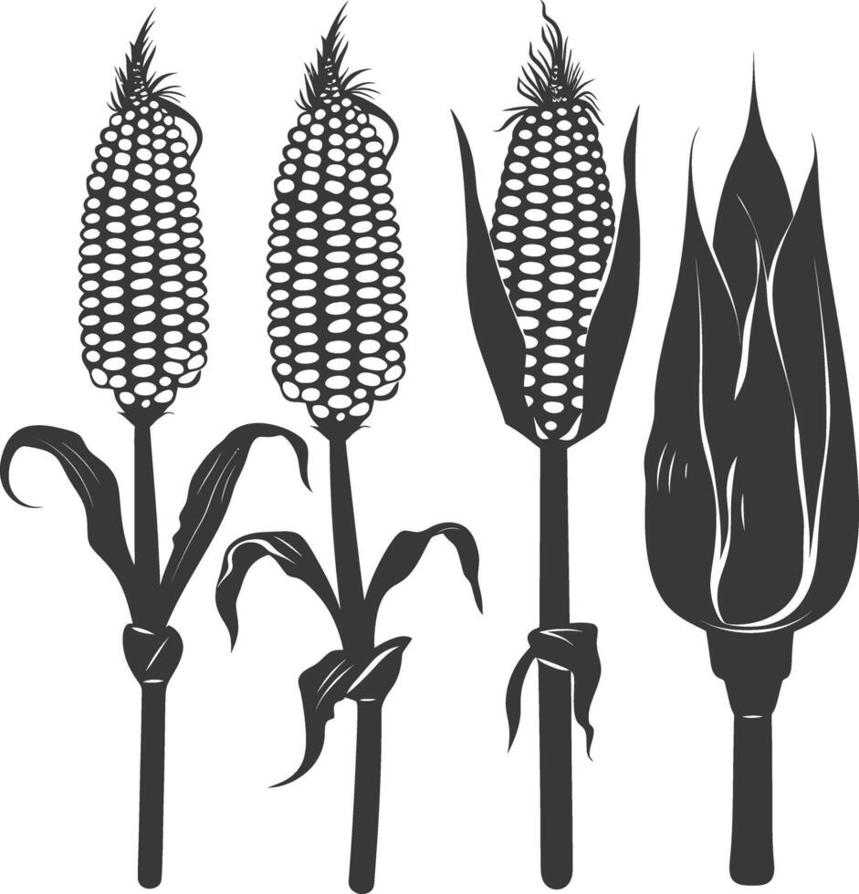 Silhouette corn black color only full vector