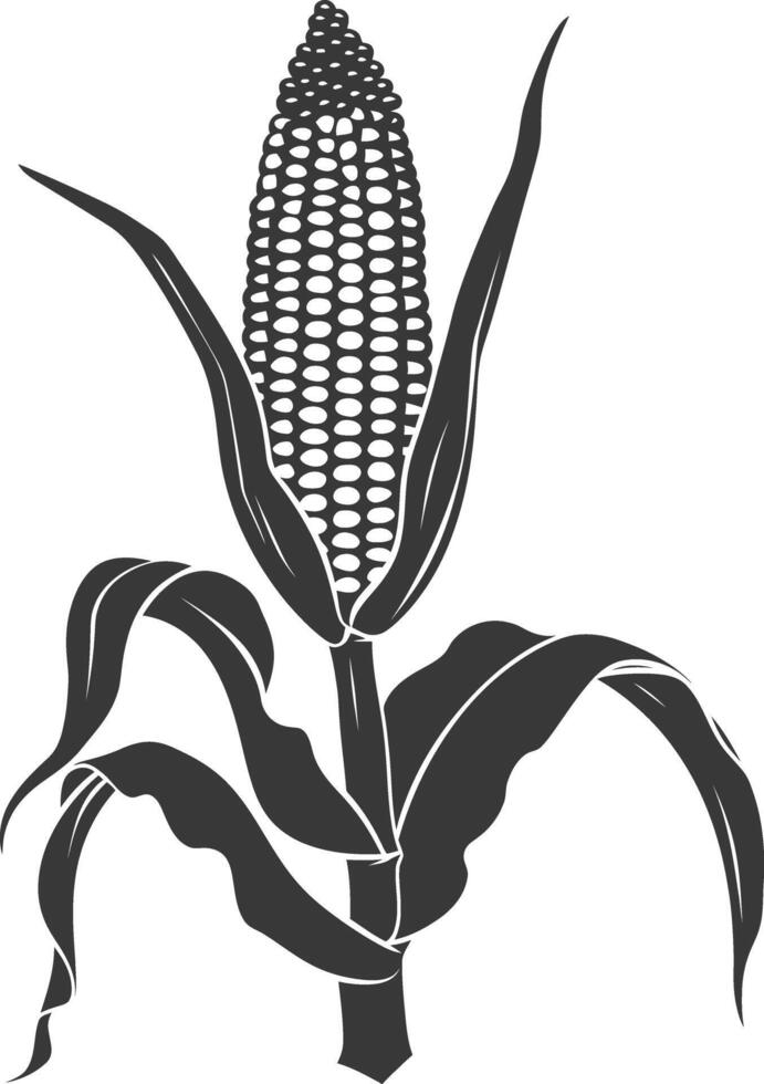 Silhouette corn black color only full vector