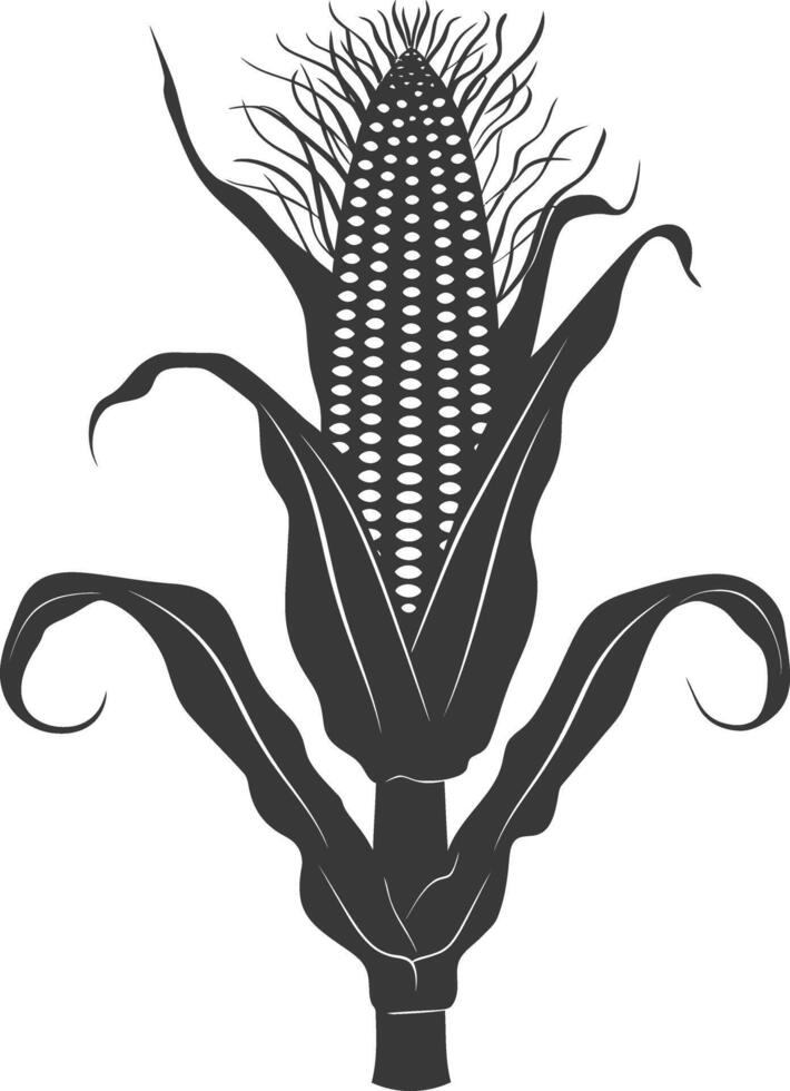 Silhouette corn black color only full vector