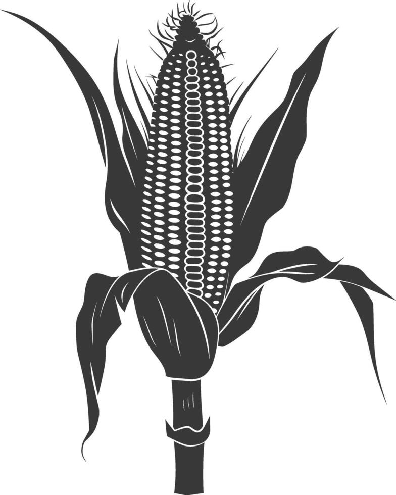 Silhouette corn black color only full vector