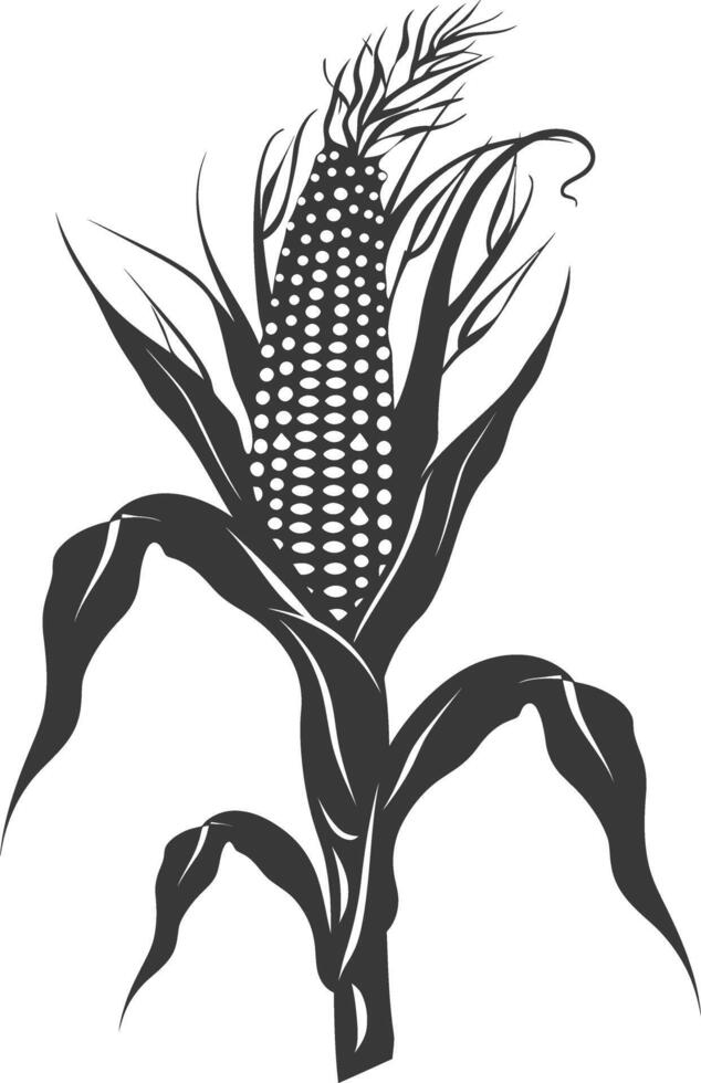 Silhouette corn black color only full vector