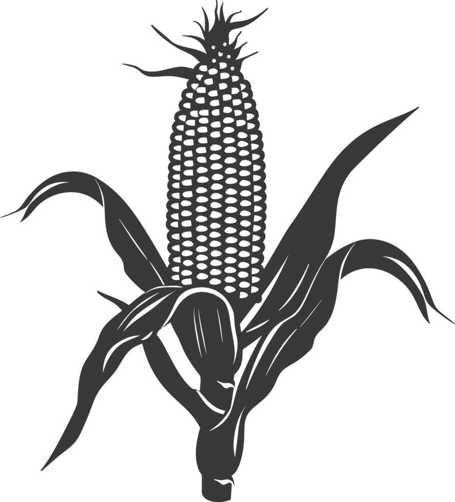 Silhouette corn black color only full vector