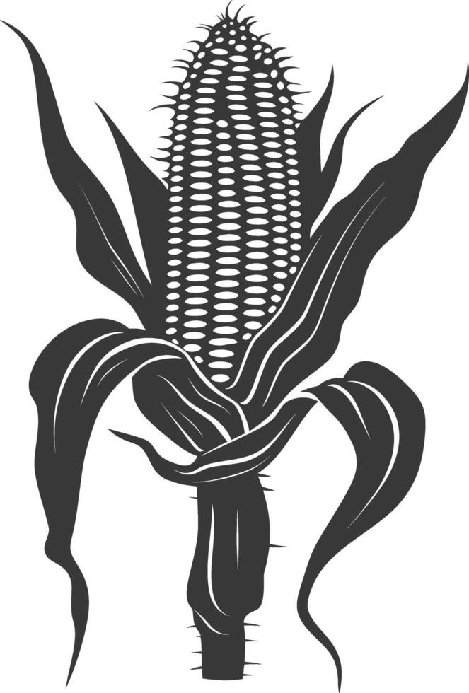 Silhouette corn black color only full vector