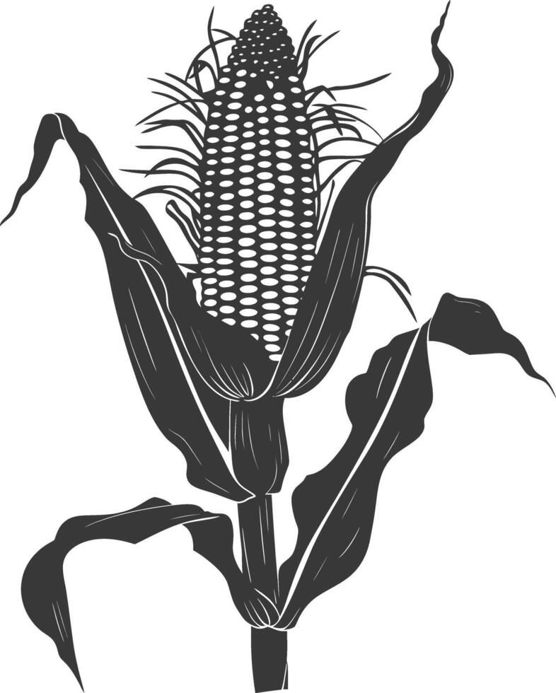 Silhouette corn black color only full vector