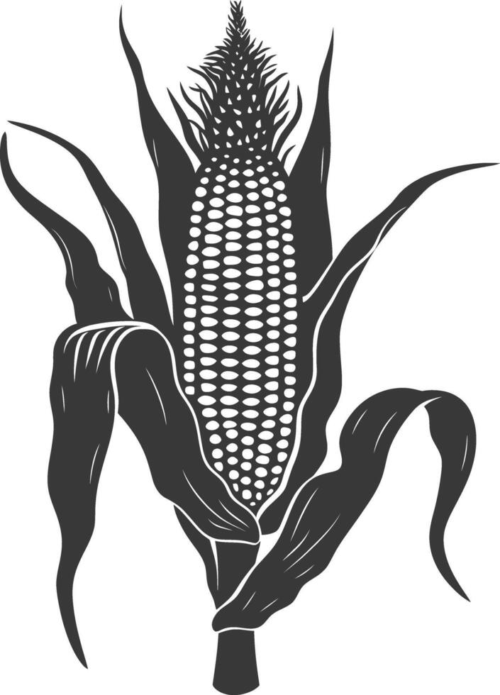 Silhouette corn black color only full vector