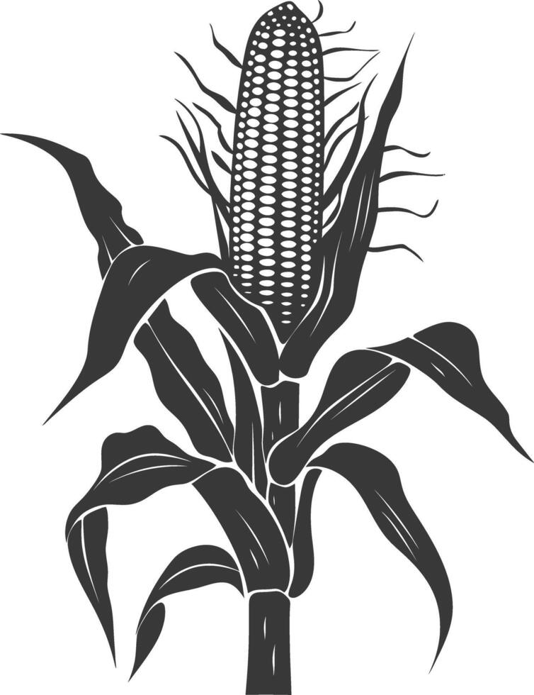 Silhouette corn black color only full vector