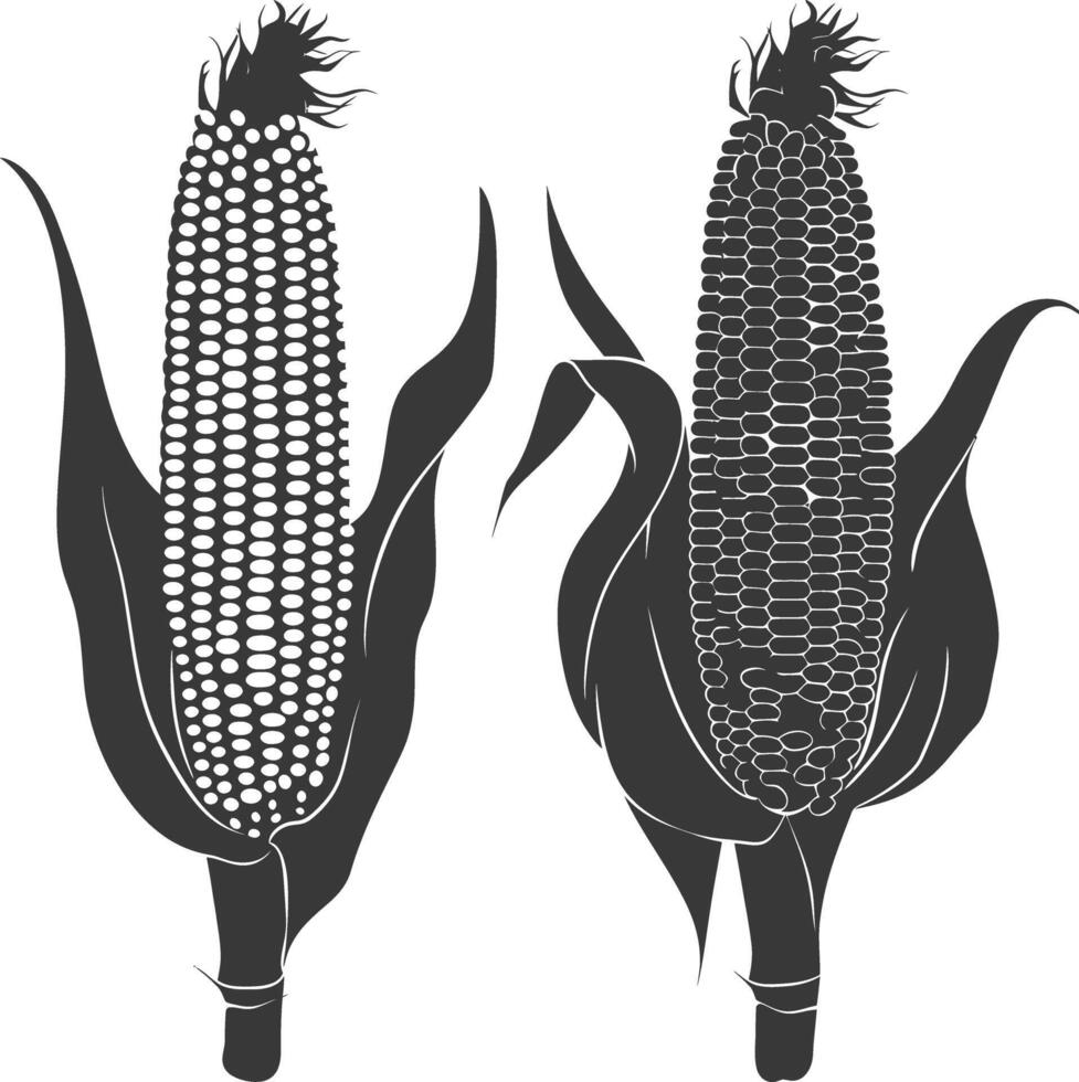 Silhouette corn black color only full vector