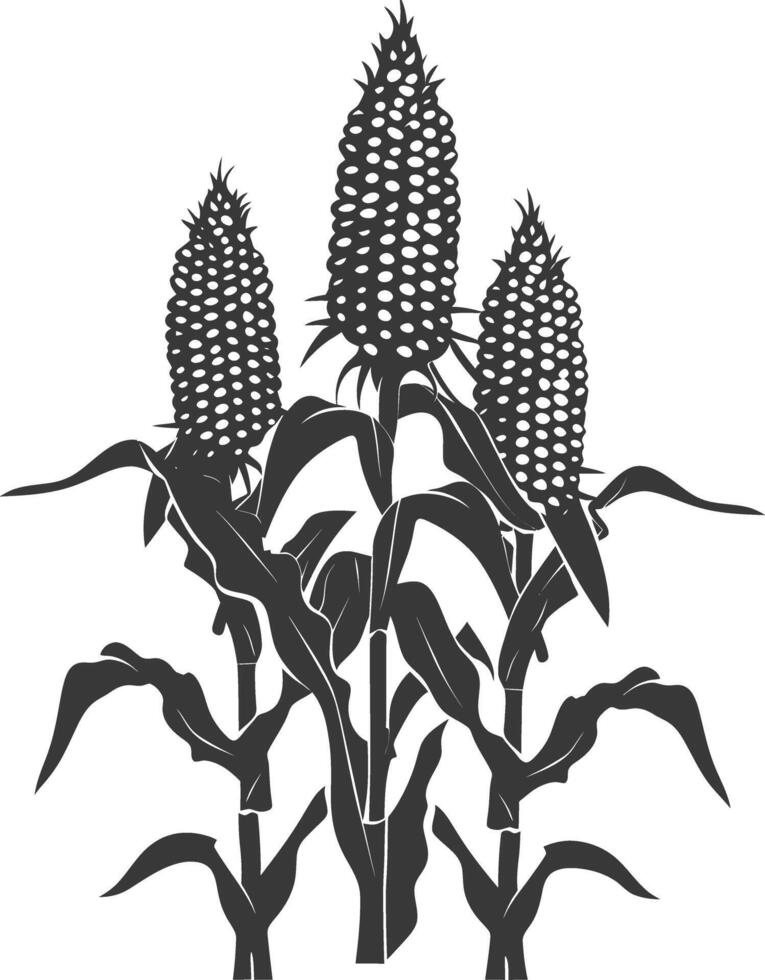 Silhouette corn black color only full vector