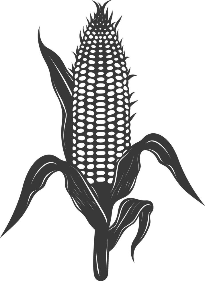 Silhouette corn black color only full vector