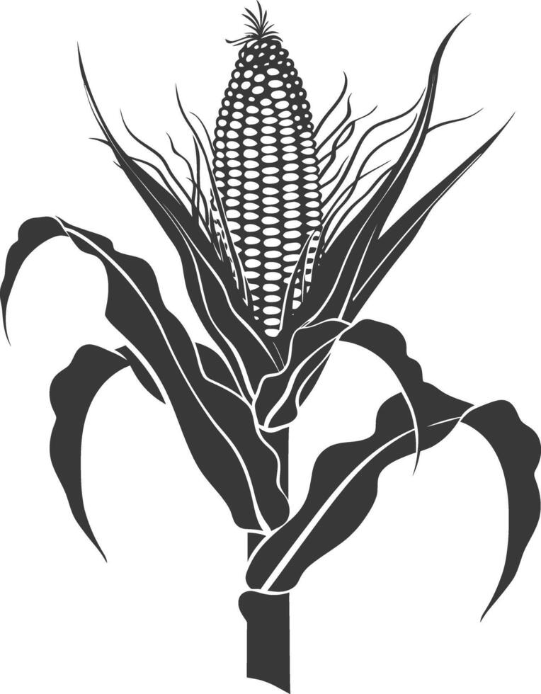 Silhouette corn black color only full vector