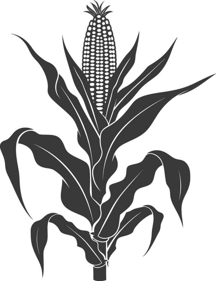 Silhouette corn black color only full vector