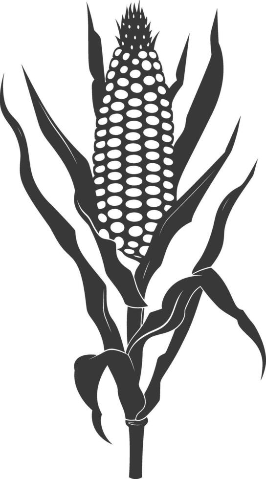 Silhouette corn black color only full vector