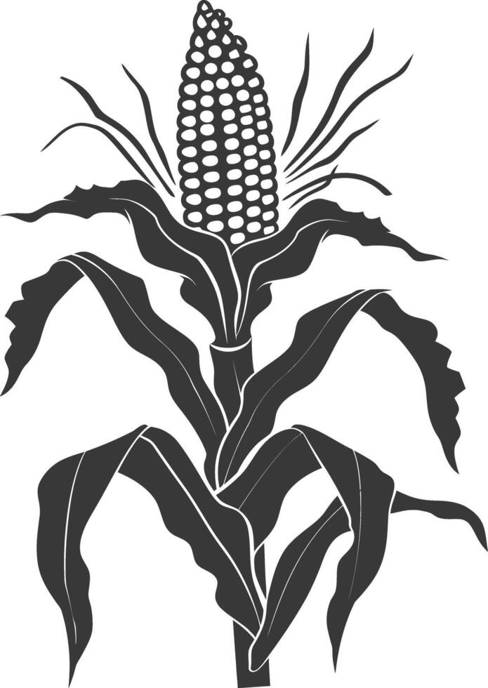 Silhouette corn black color only full vector