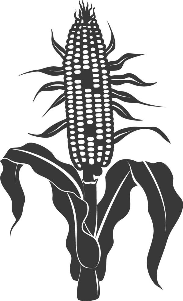Silhouette corn black color only full vector