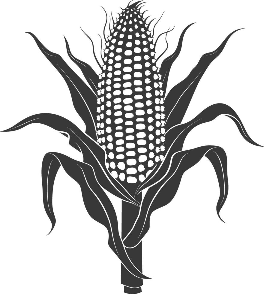 Silhouette corn black color only full vector