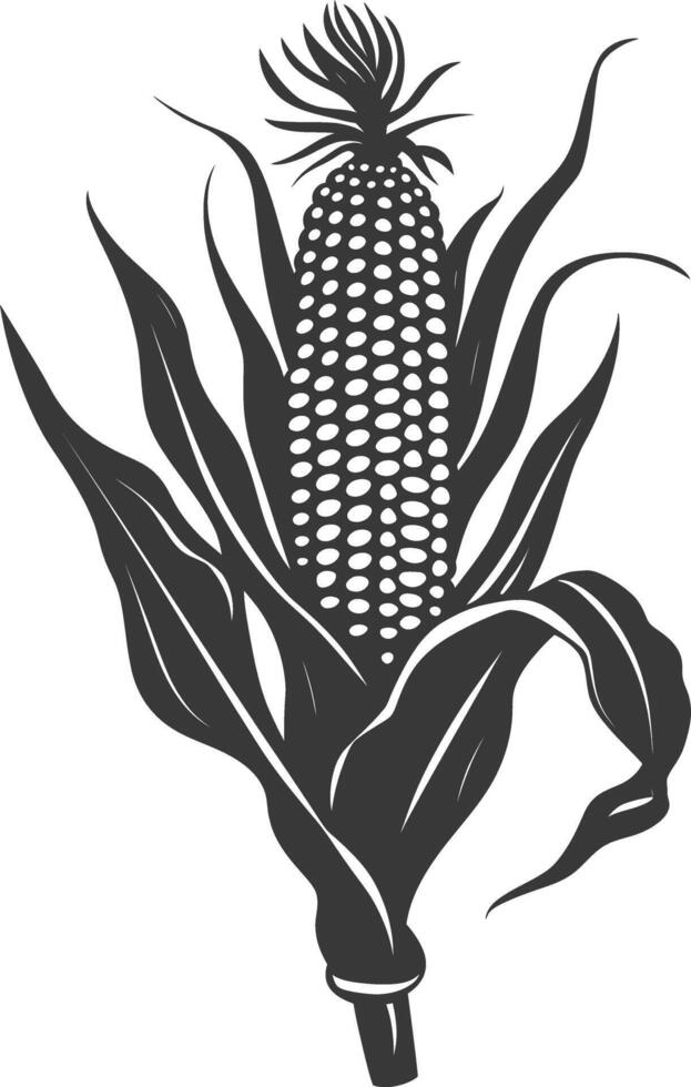 Silhouette corn black color only full vector