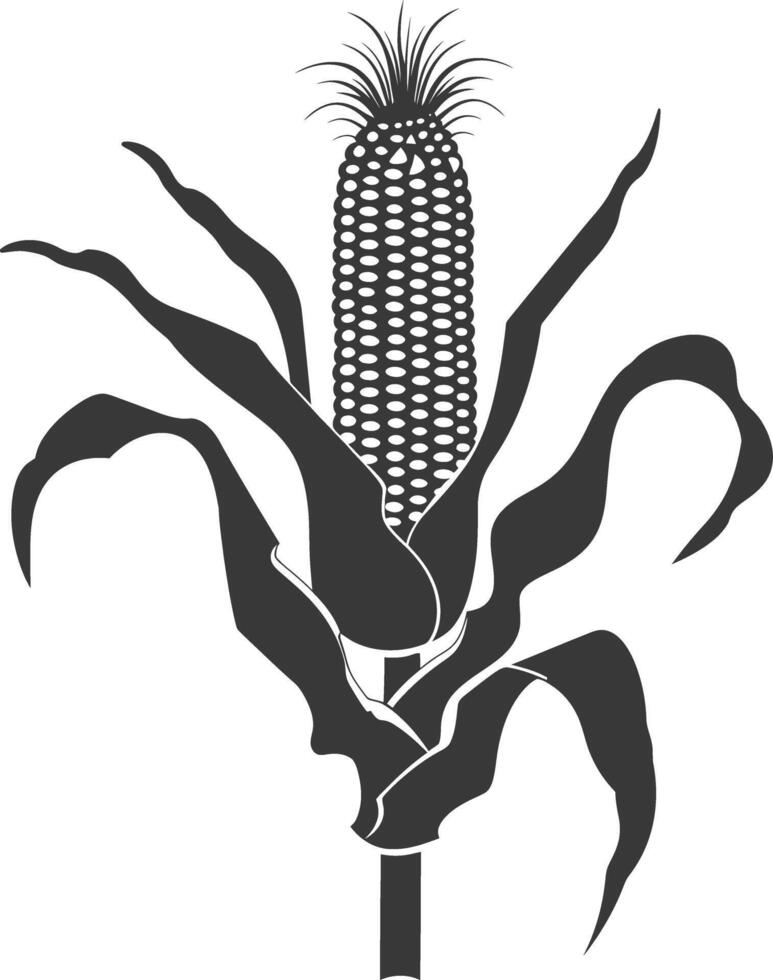 Silhouette corn black color only full vector