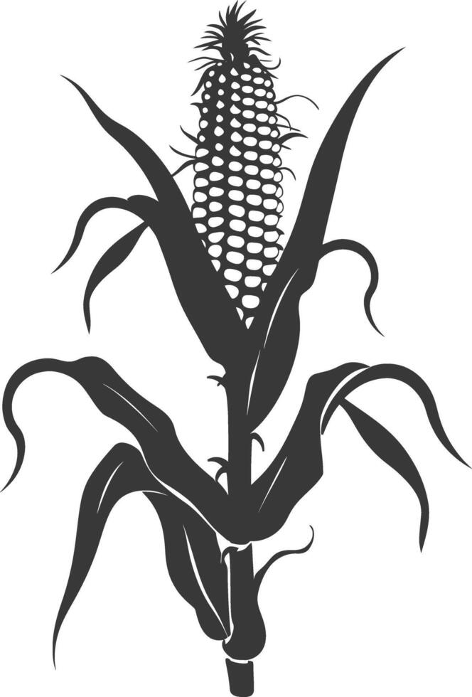 Silhouette corn black color only full vector