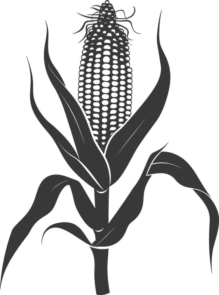 Silhouette corn black color only full vector