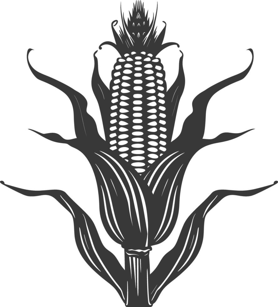 Silhouette corn black color only full vector