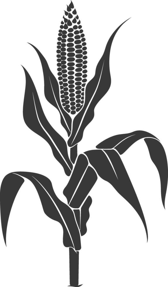 Silhouette corn black color only full vector