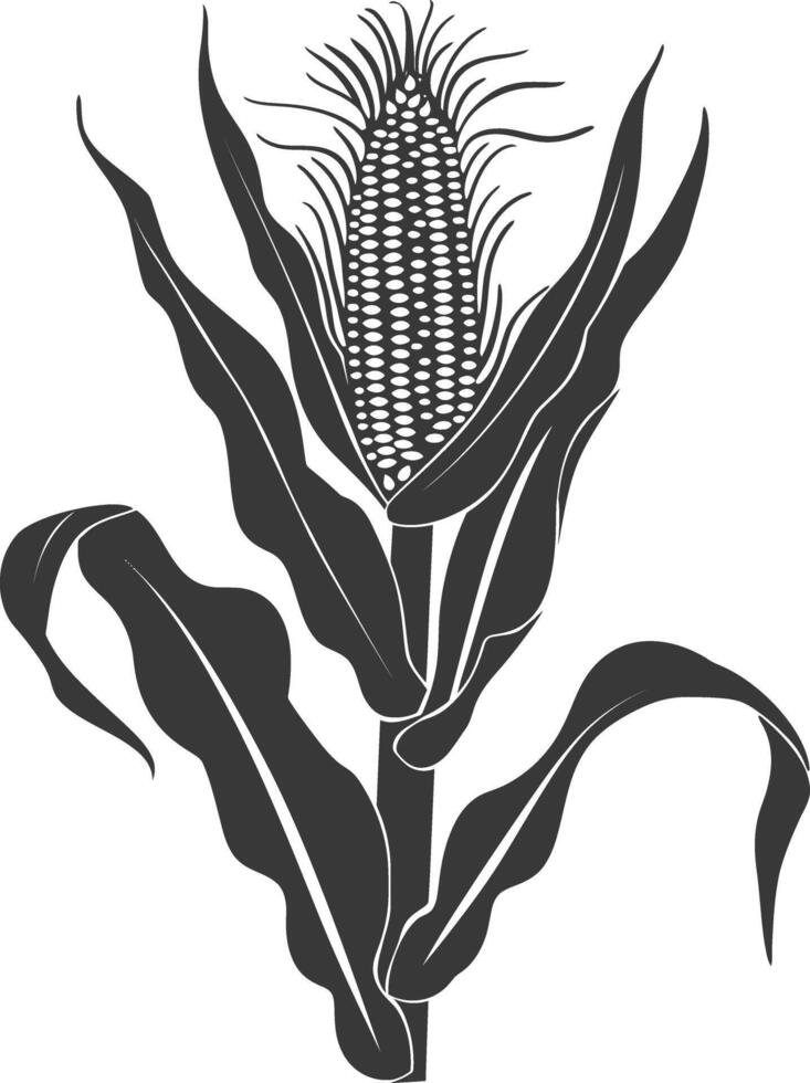 Silhouette corn black color only full vector