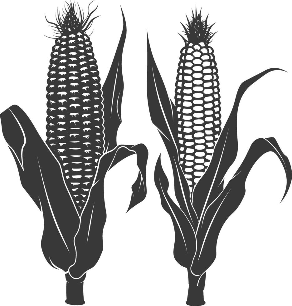 Silhouette corn black color only full vector