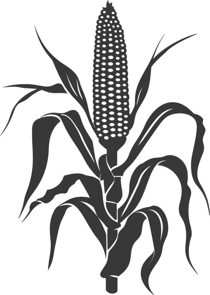 Silhouette corn black color only full vector