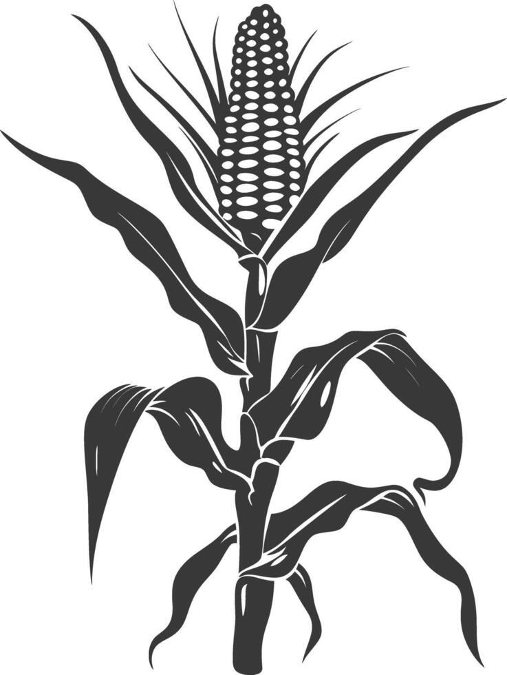 Silhouette corn black color only full vector