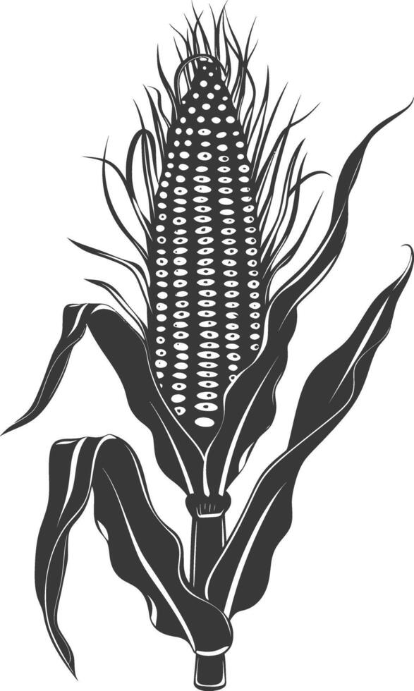 Silhouette corn black color only full vector