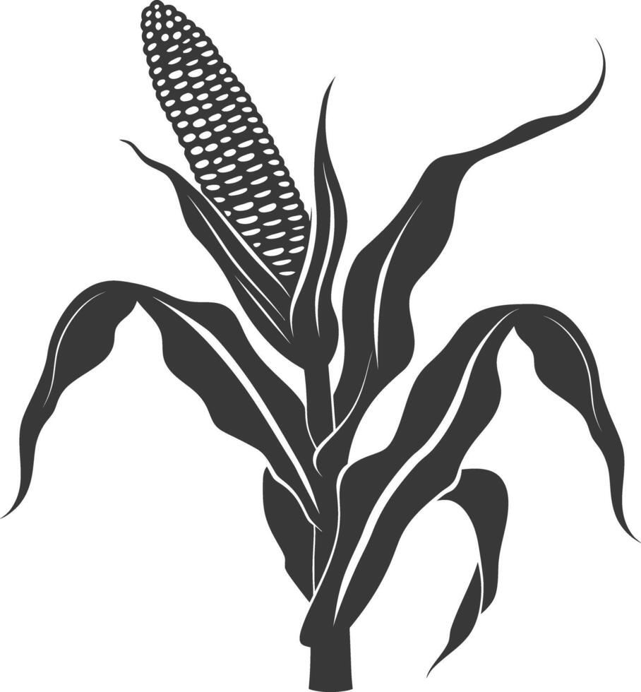 Silhouette corn black color only full vector