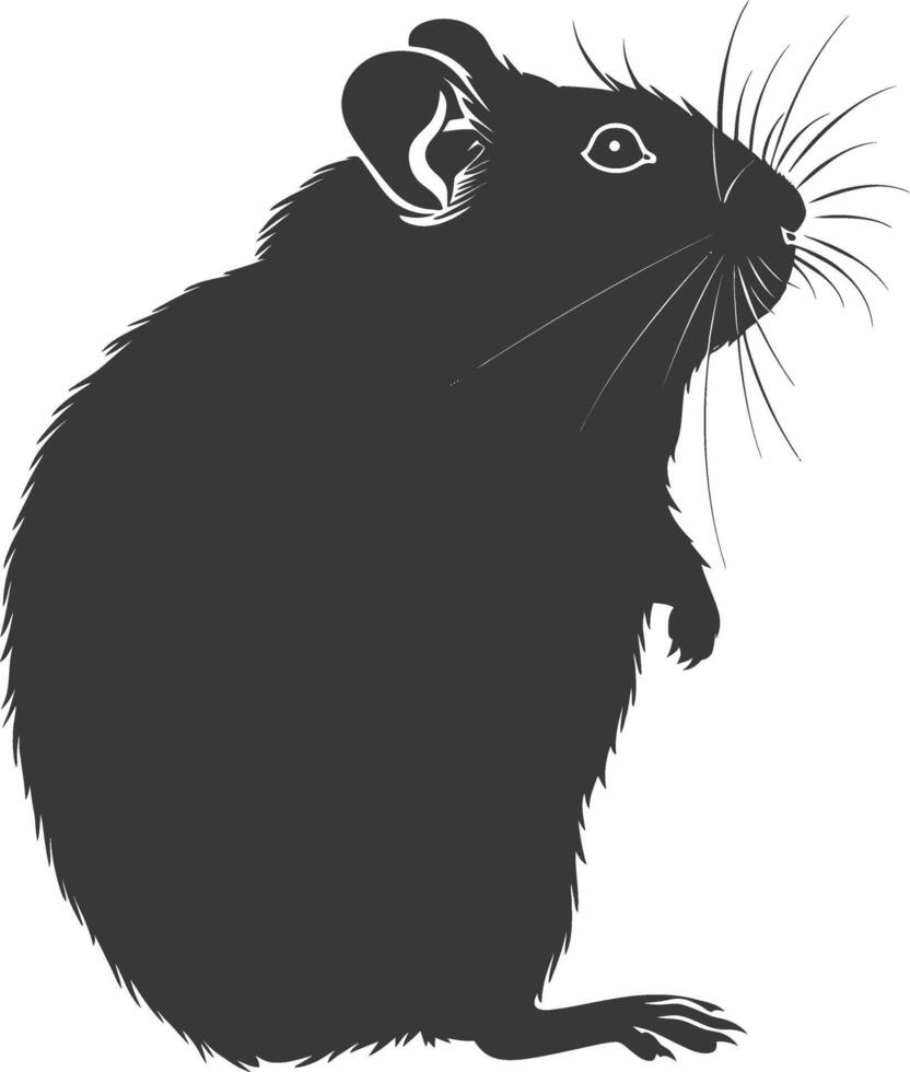 Silhouette hamster animal black color only full body vector