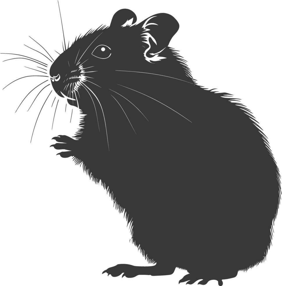 Silhouette hamster animal black color only full body vector