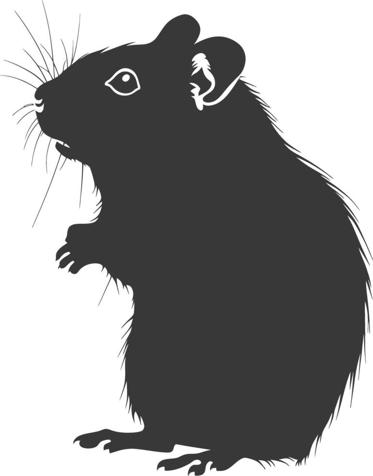 Silhouette hamster animal black color only full body vector