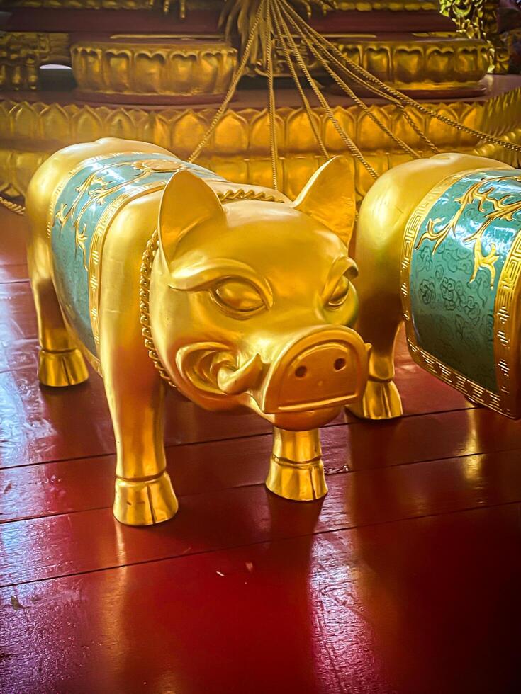 Golden pig statue is a beautiful Thai and Chinese architecture of Nachas sa thai chute shrine, naja shrine, najasaataichue, nezha shrine chinese temple. good luck Chinese New Year celebrations. photo
