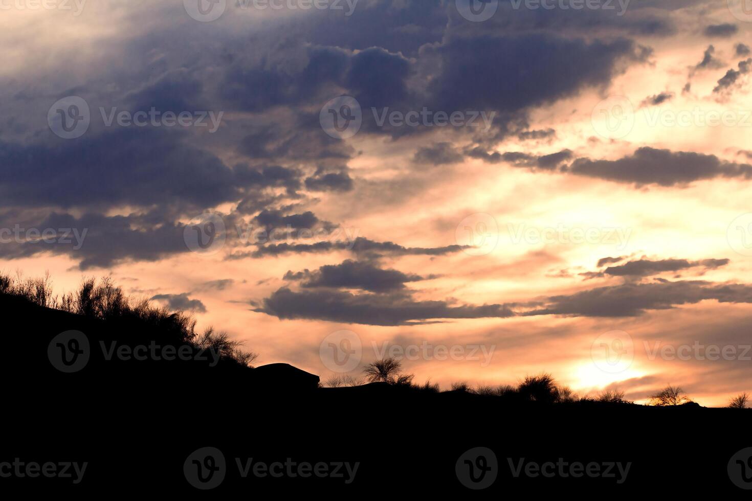 dramático ver de cielo con amenazador nubes con siluetas de plantas en noche. naturaleza foto