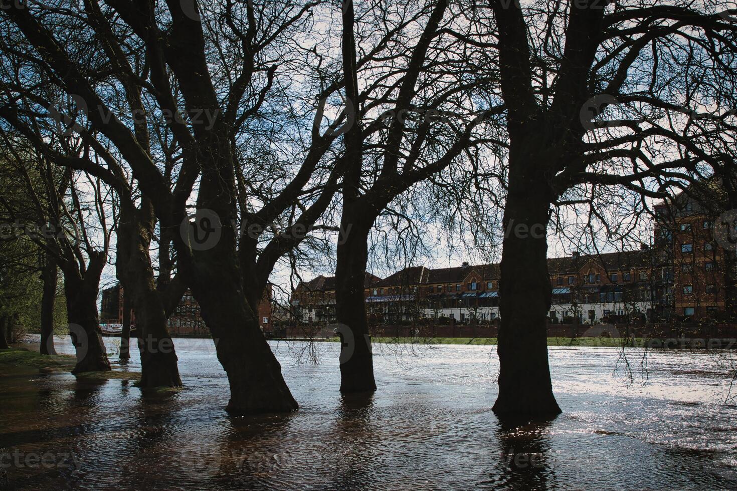 Silhouetted trees line a flooded urban street with historical buildings in the background, under a cloudy sky, conveying a moody and dramatic atmosphere in York, North Yorkshire, England. photo