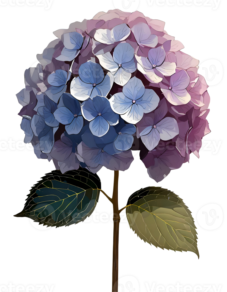 Plants and flowers png