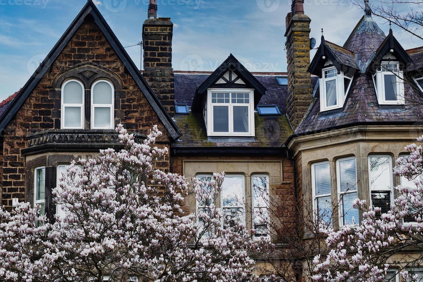 Traditional brick house with gabled roofs and dormer windows, framed by blossoming cherry trees under a clear blue sky in Harrogate, North Yorkshire. photo