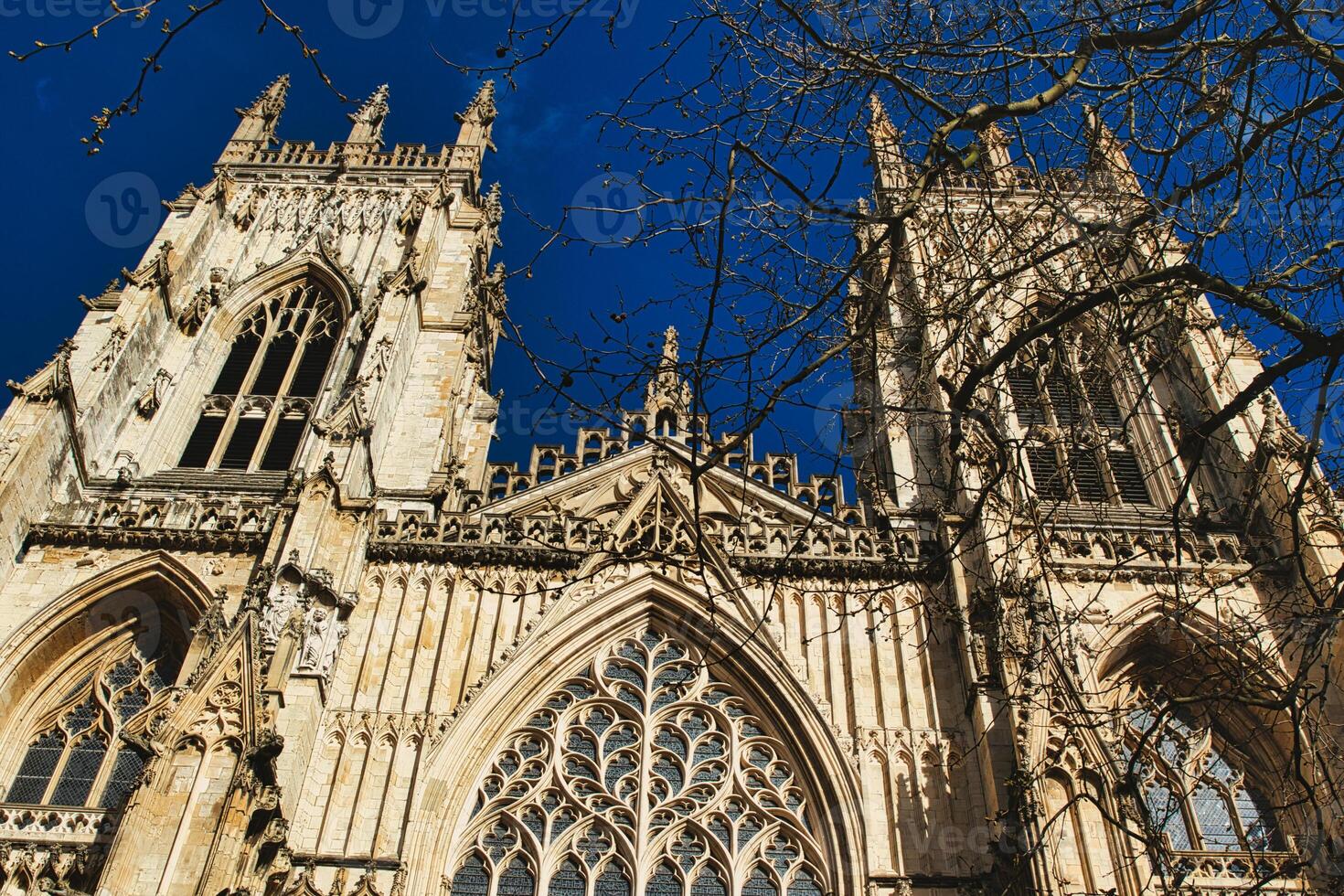 Gothic cathedral facade with intricate architecture and blue sky background, framed by bare tree branches in York, North Yorkshire, England. photo