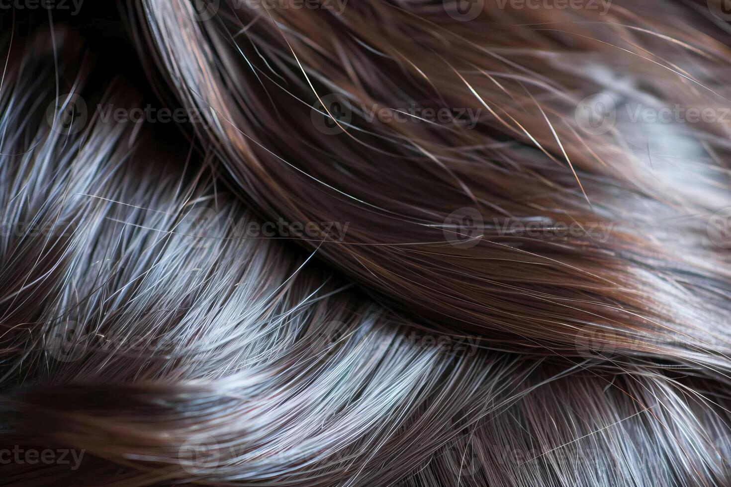 Rear View of a Woman With Long Dark Hair Against a White Background photo