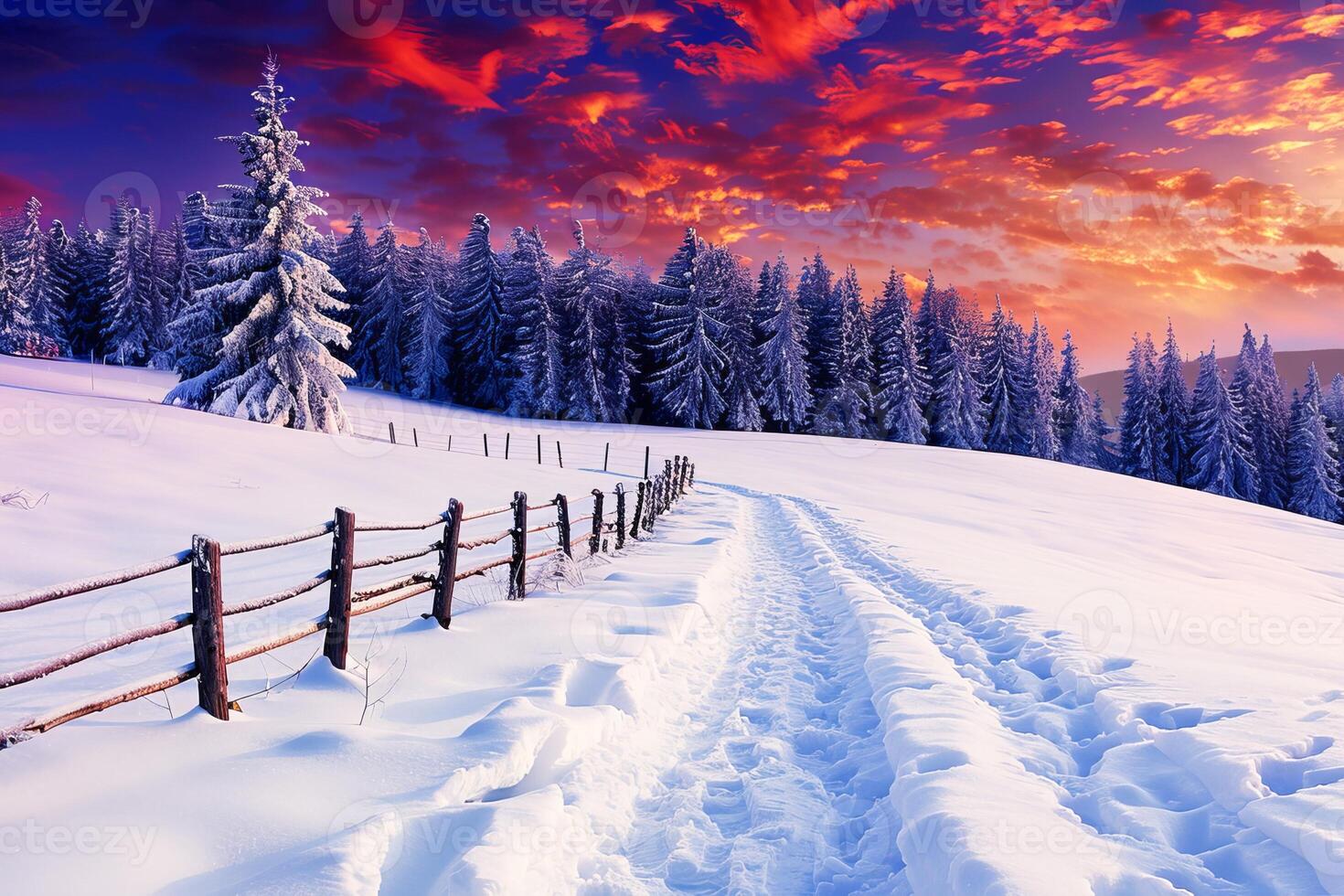 Winter Wonderland at Twilight With Fresh Snow Covering a Forest Path photo