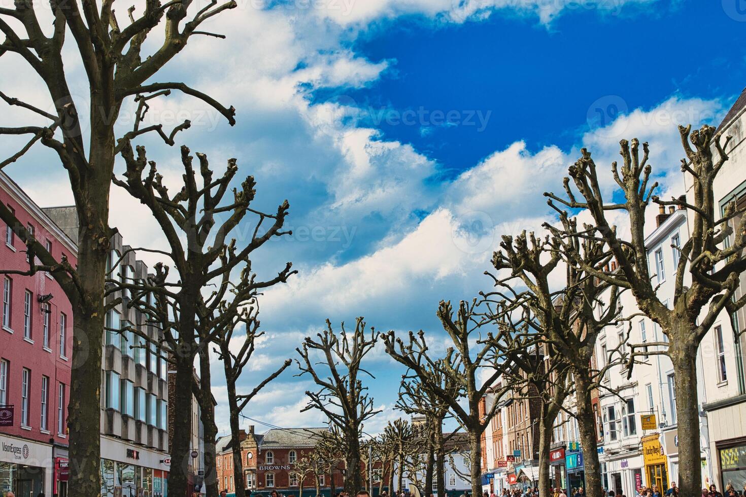 Leafless trees line a vibrant urban street with colorful buildings under a blue sky with fluffy clouds, creating a stark contrast between nature and city life in York, North Yorkshire, England. photo