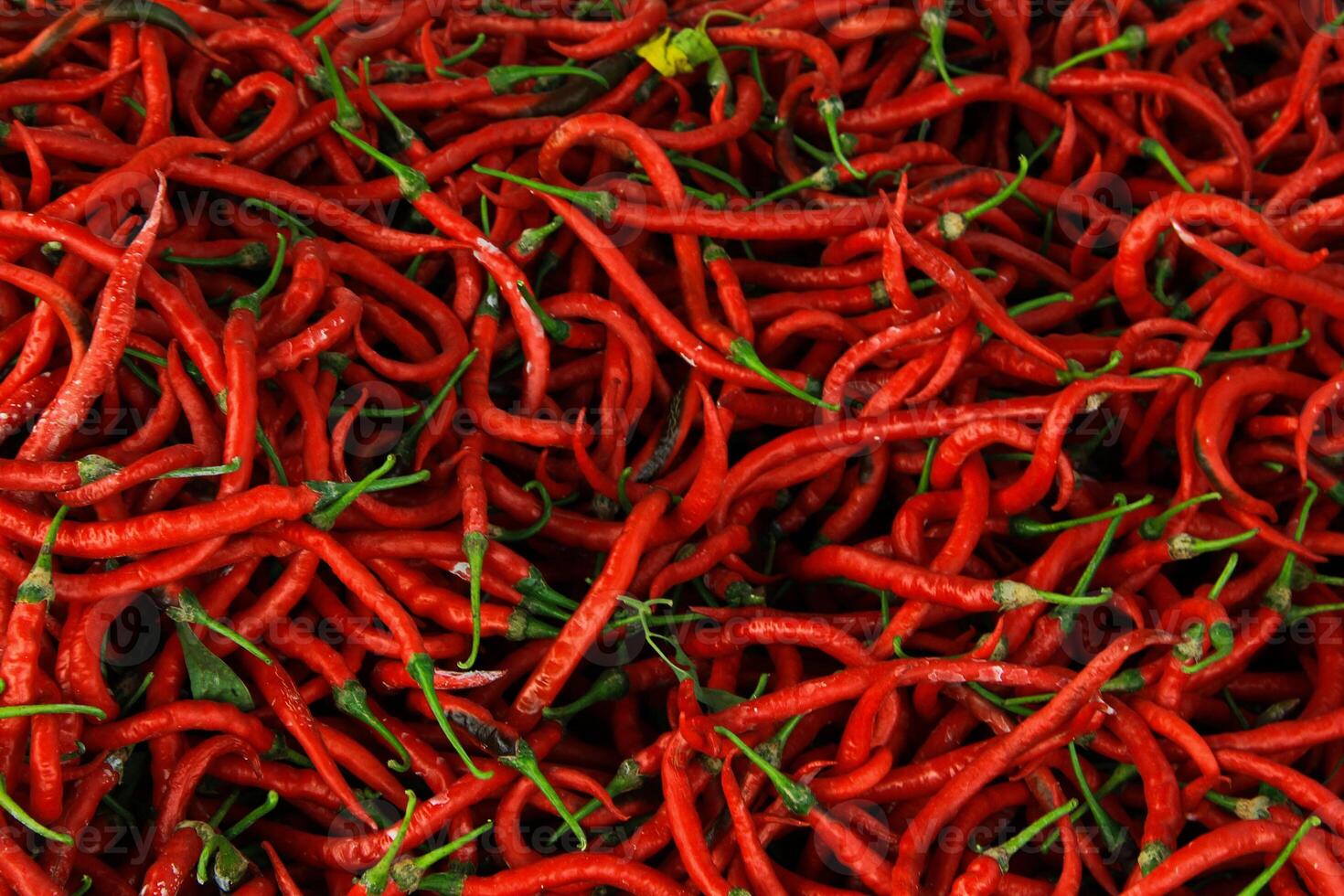 Top view of red chili pepper texture background photo