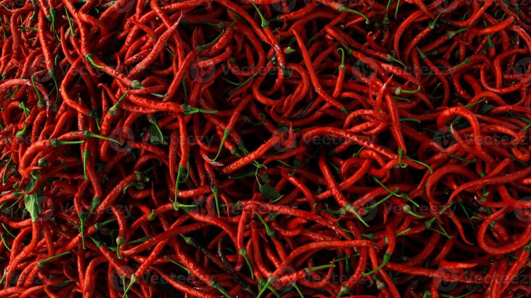 Top view of red chili pepper texture background photo