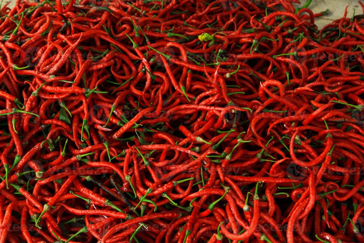 Top view of red chili pepper texture background photo