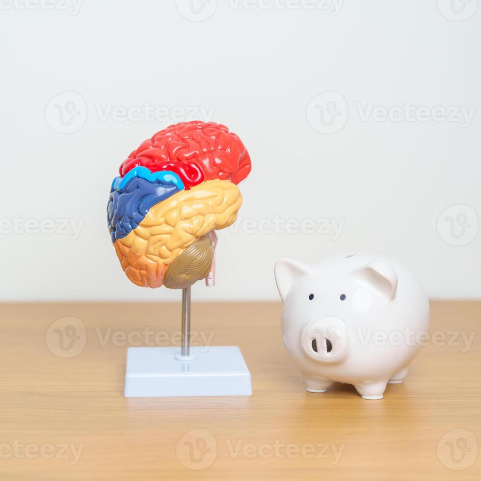 World Brain Tumor day, Brain Stroke, Dementia, alzheimer, parkinson and world mental health month. Brain model with Piggy Bank for support illness life. Health, Donation, Charity, Money Saving photo