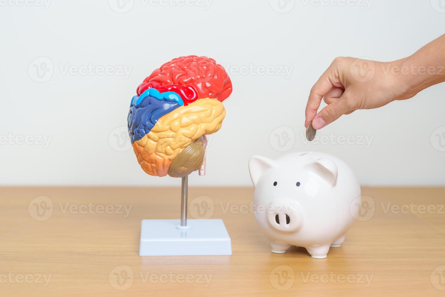 World Brain Tumor day, Brain Stroke, Dementia, alzheimer, parkinson and world mental health month. Brain model with Piggy Bank for support illness life. Health, Donation, Charity, Money Saving photo