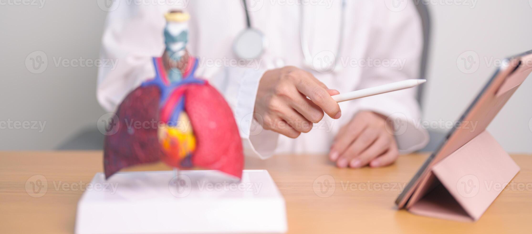 Doctor with Respiratory system anatomy for Diseases. Lung Cancer, Asthma, Chronic Obstructive Pulmonary or COPD, Bronchitis, Emphysema, Cystic Fibrosis, Bronchiectasis, Pneumonia and Pleural Effusion photo